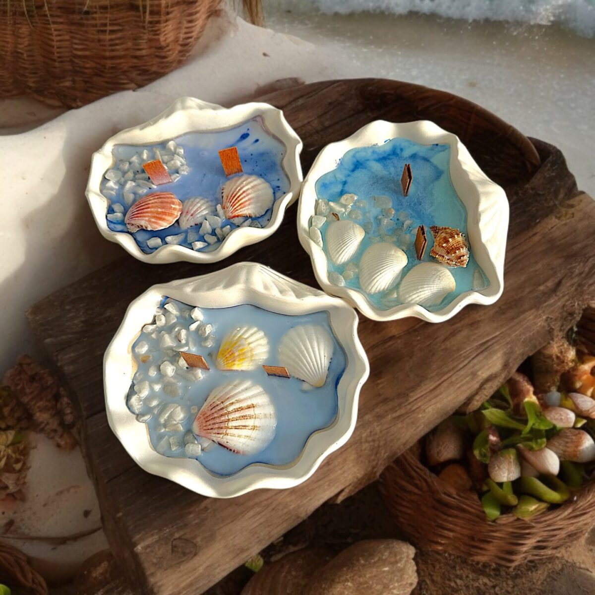 1C8821C6-6959-4193-8C93-6ABB2353BB9E Candela - Sea shell