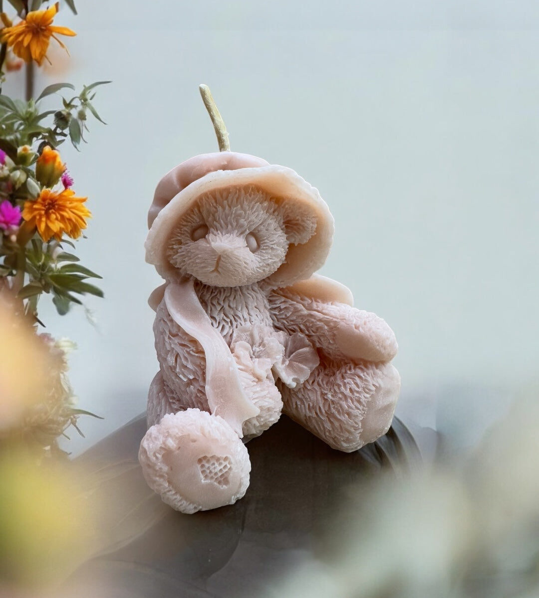 Candela - Mini Teddy