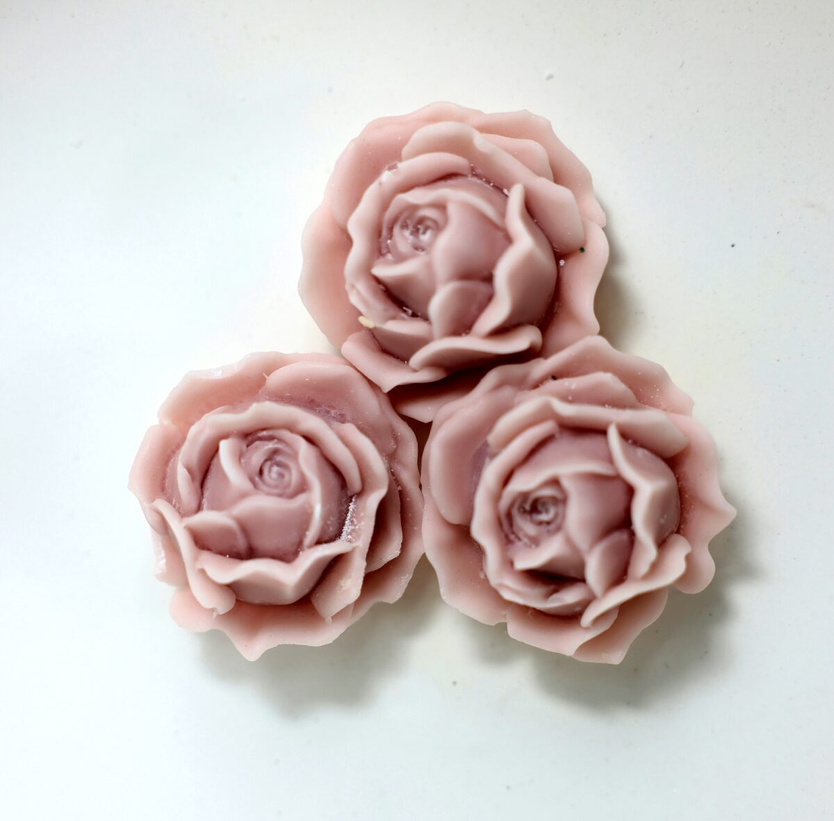 Fiori in cera