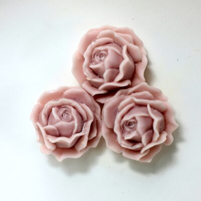 Fiori in cera